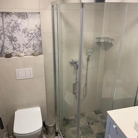 Pusyno Apartamentai * Druskininkai