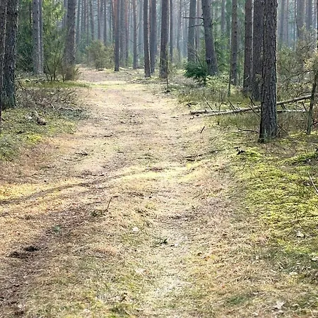 Pusyno Apartamentai *